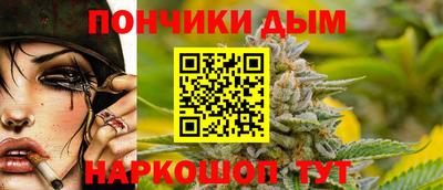 Альфа ПВП Можга