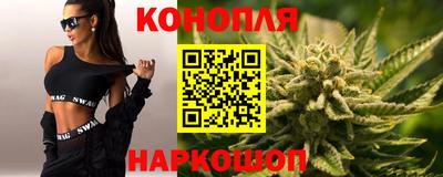Альфа ПВП Можга
