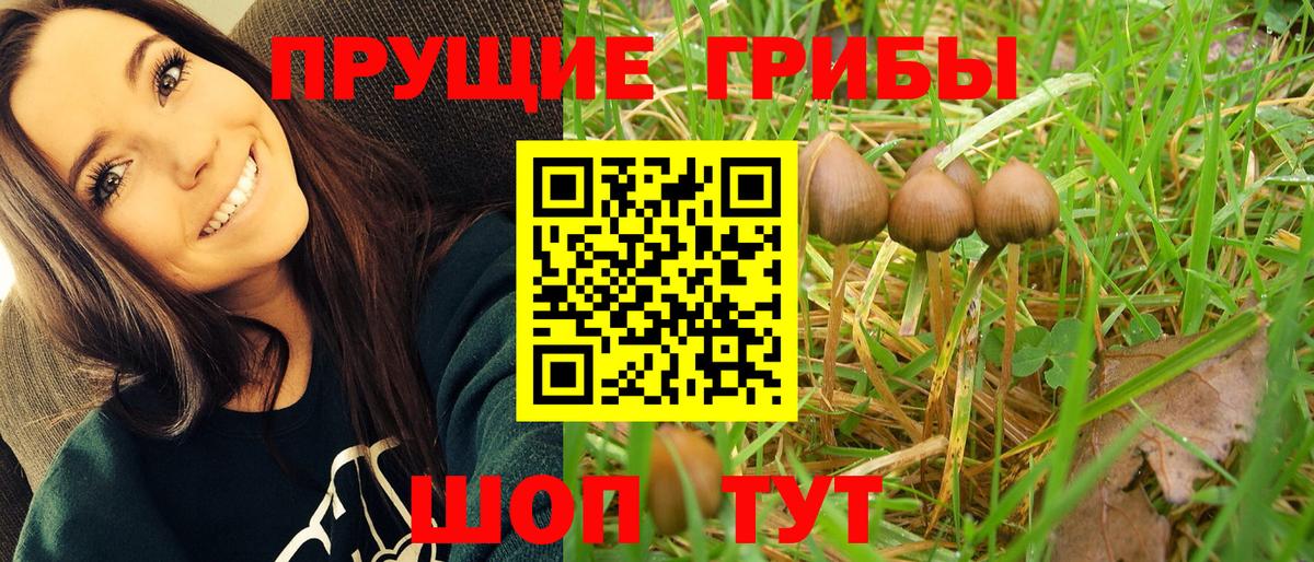 Галлюциногенные грибы Magic Shrooms  Вход с VPN  Хабаровск 